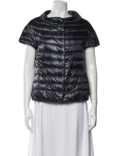 Pre-owned Herno Down Jacket In Blue