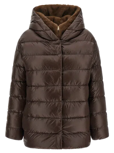 Herno Down Jacket In Brown