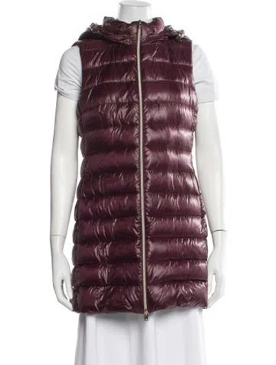 Pre-owned Herno Down Jacket In Burgundy