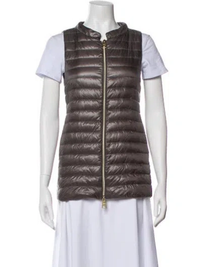 Pre-owned Herno Down Jacket In Gray