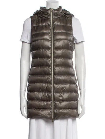 Pre-owned Herno Down Jacket In Gray