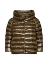 Herno Down Jacket In Green