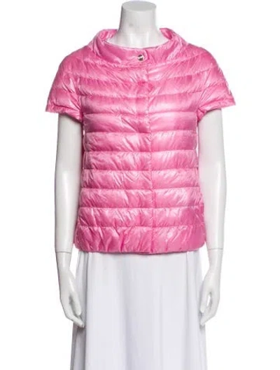 Pre-owned Herno Down Jacket In Pink