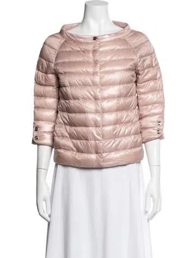 Pre-owned Herno Down Jacket In Pink