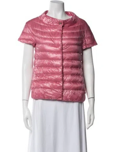 Pre-owned Herno Down Jacket In Pink