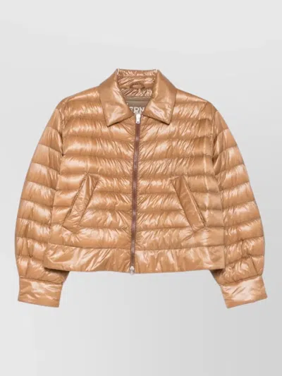 Herno Down Jacket Pointed Collar Long Sleeves In Brown