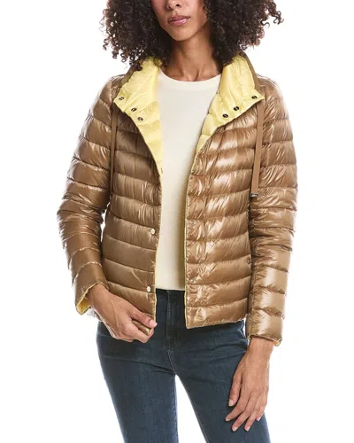 Herno Down Puffer Jacket In Brown