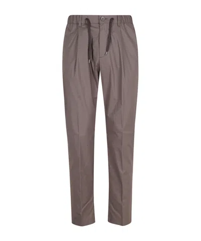Herno Drawstring Pleated Trousers In Gray