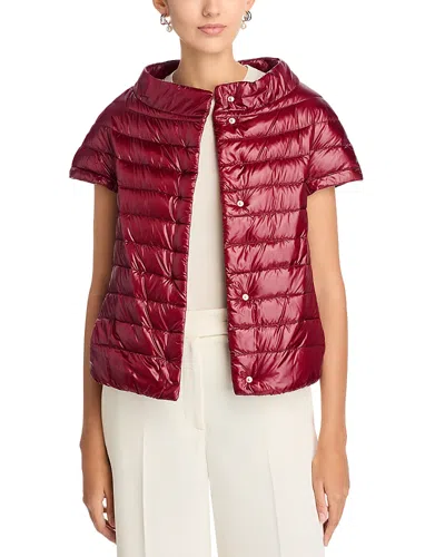 Herno Emelia Cap Sleeve Puffer Jacket In Burgundy