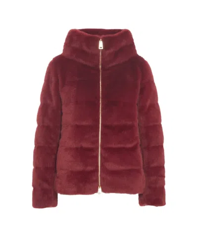 Herno Faux Fur Jacket In Burgundy