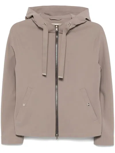 Herno Hooded Jacket In Beige