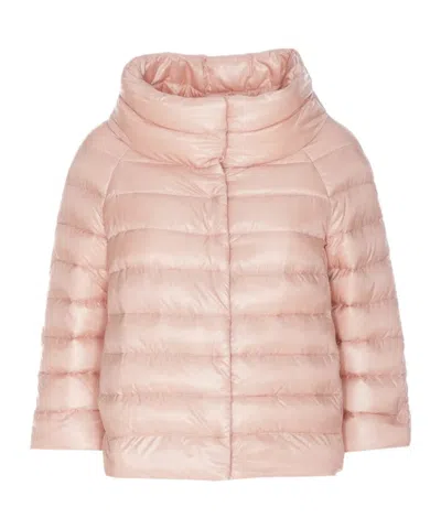 Herno Funnel Neck Straight Hem Down Jacket In Pink