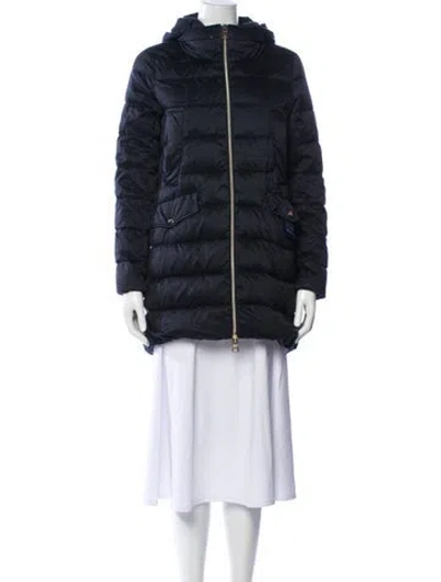 Pre-owned Herno Fur Coat In Blue