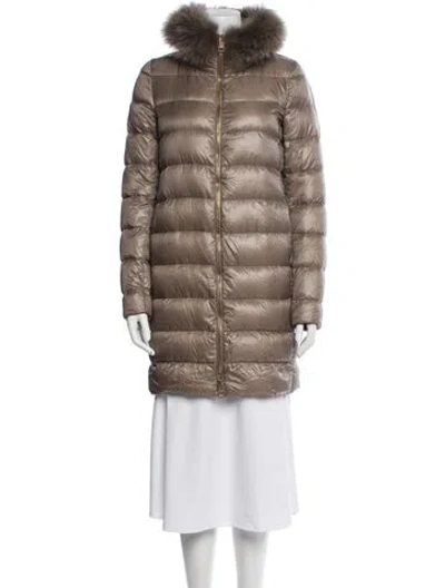Pre-owned Herno Fur Jacket In Neutral