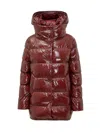 Herno Glossy Padded Down Jacket With Hood In Brown