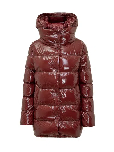 Herno Glossy Padded Down Jacket With Hood In Brown