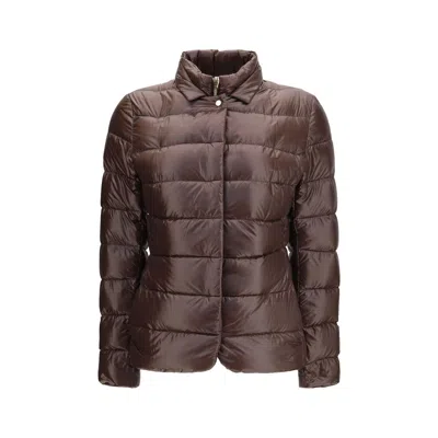 Herno Goose Down Padded Down Jacket In Brown