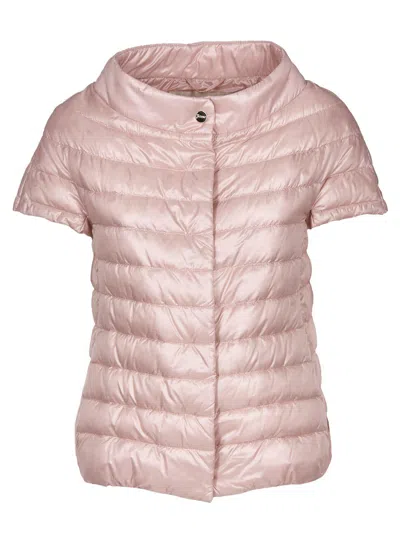 Herno Greta Short-sleeved Puffer Jacket  In Pink