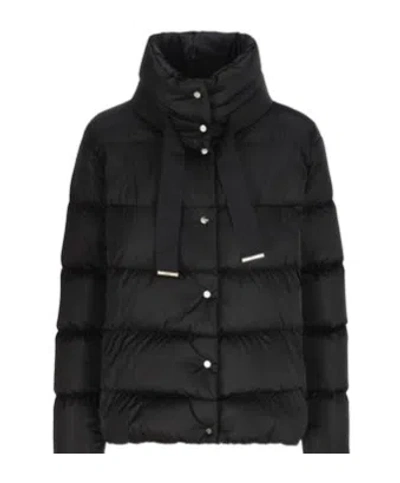 Herno Padded Jacket In Black