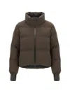 Herno Stand-collar Down Jacket In Brown