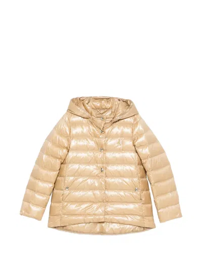 Herno Hooded Buttoned Jacket In Neutral