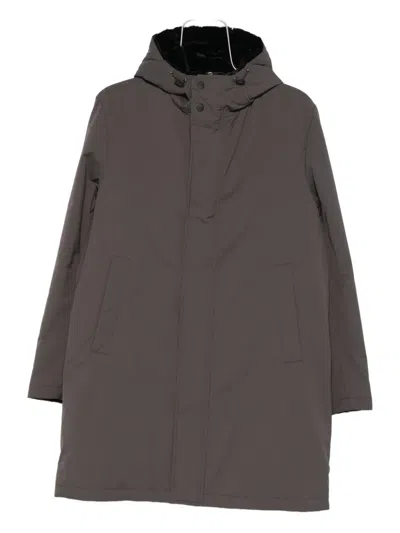 Herno Hooded Coat In Brown