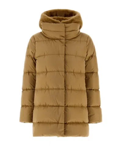 Herno Hooded Down Jacket In Brown