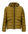 Herno Hooded Down Jacket In Green