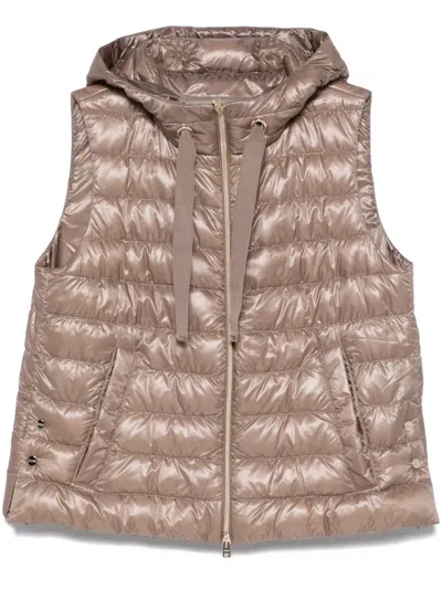 Herno Hooded Gilet In Brown