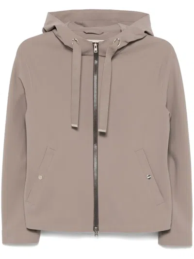 Herno Hooded Jacket In Brown