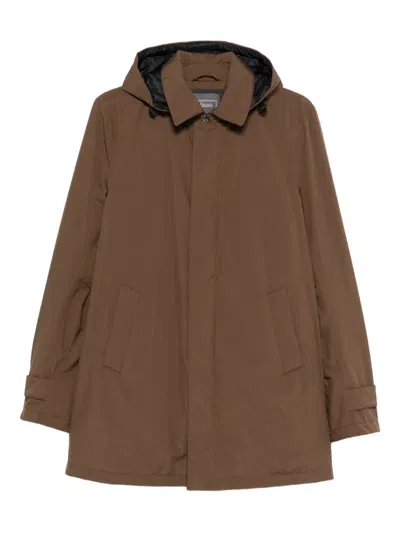 Herno Hooded Jacket In Brown