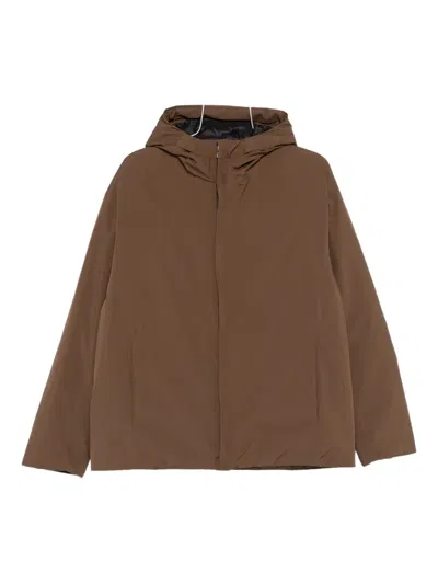 Herno Hooded Jacket In Brown