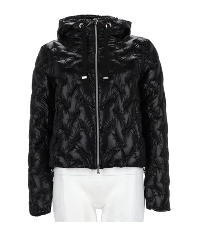 HERNO HOODED PADDED JACKET