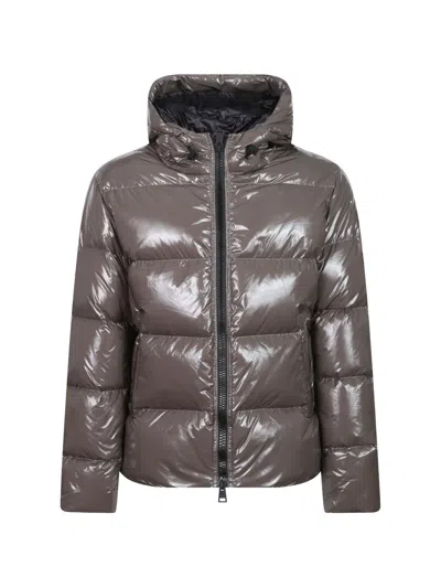 Herno Hooded Padded Jacket In Brown