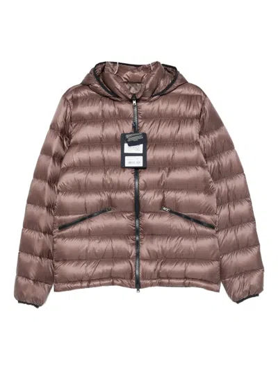 Herno Hooded Padded Jacket In Brown
