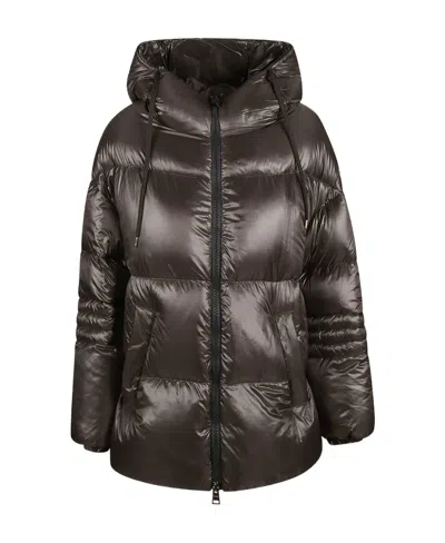 Herno Hooded Puffer Jacket In Brown