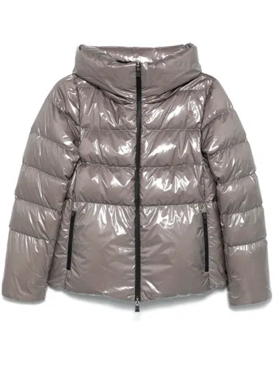 Herno Hooded Puffer Jacket In Grey