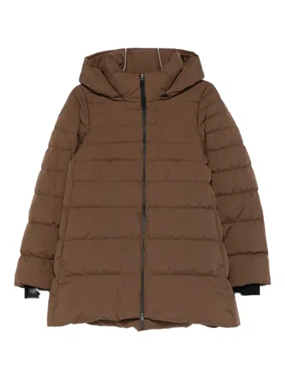Herno Hooded Quilted Jacket In Brown