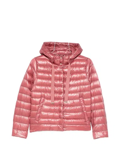 Herno Hooded Quilted Jacket In Multi