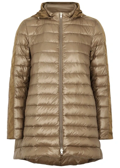 Herno Hooded Quilted Shell Coat In Camel