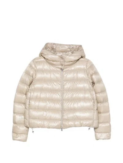 Herno Hooded Quilted Zip-up Jacket In Neutral