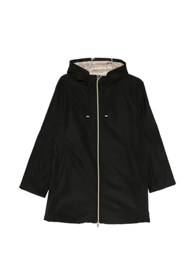 Herno Hooded Zip Jacket In Black