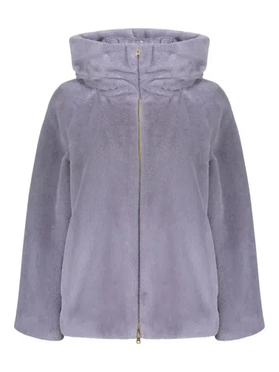 Herno Hooded Zip Jacket In Purple