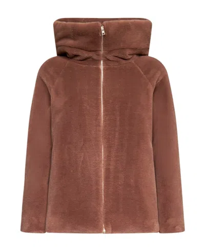 Herno Hooded Zip-up Fitted Jacket In Brown