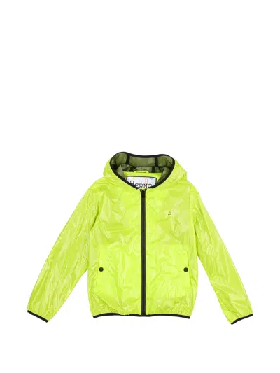 Herno Kids' Hooded Zip-up Jacket In Green