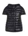 Herno Iconico Woman Puffer Black Size 6 Polyamide, Cotton, Acetate