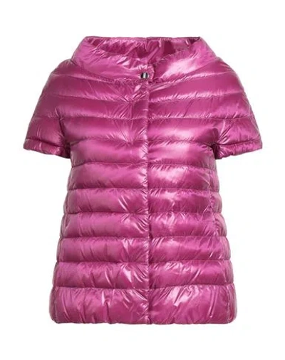 Herno Iconico Woman Puffer Mauve Size 2 Polyamide, Cotton, Acetate In Pink