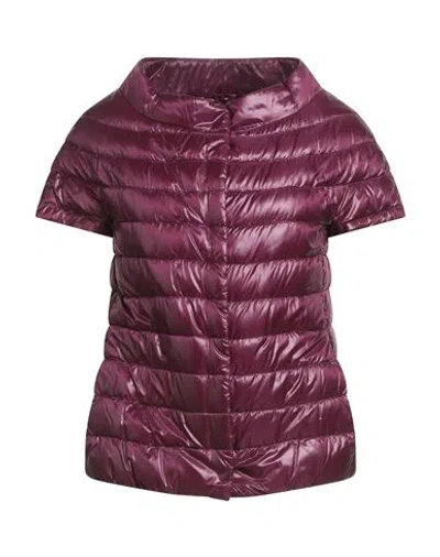 Herno Iconico Woman Puffer Mauve Size 6 Polyamide, Cotton, Polyester