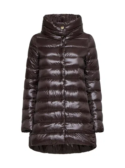 Herno Icons Down Jacket  In Brown