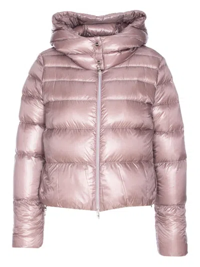 Herno Insulated Jacket With Hood In Pink